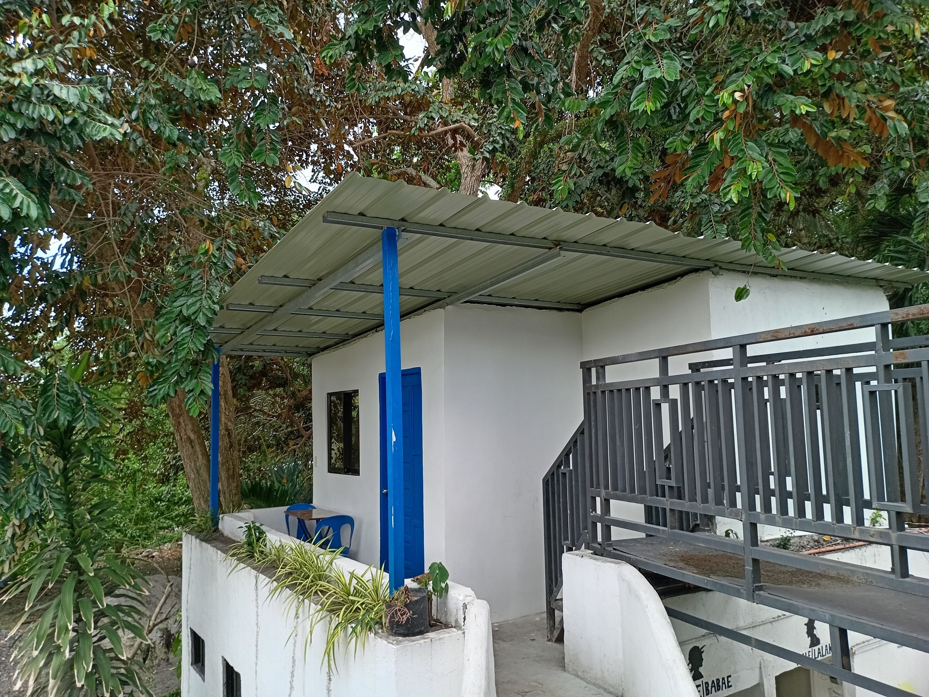 A white building with a blue door and a metal roof, surrounded by greenery.