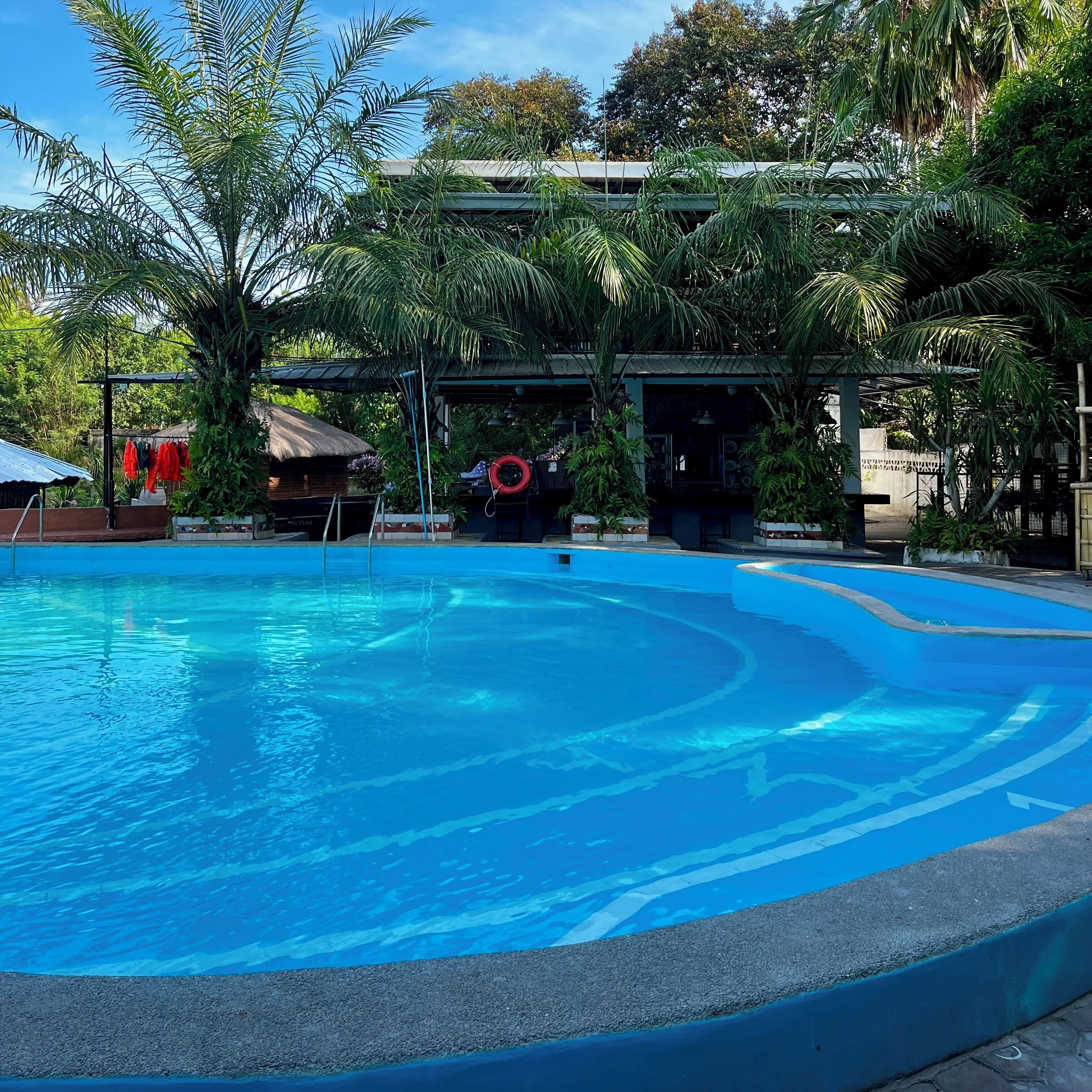 A swimming pool with a clear blue water surface, surrounded by lush greenery and a building structure in the background.