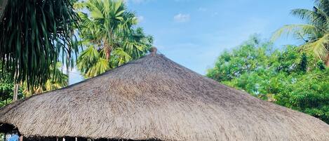 熨斗/熨衫板、免費 Wi-Fi、床單