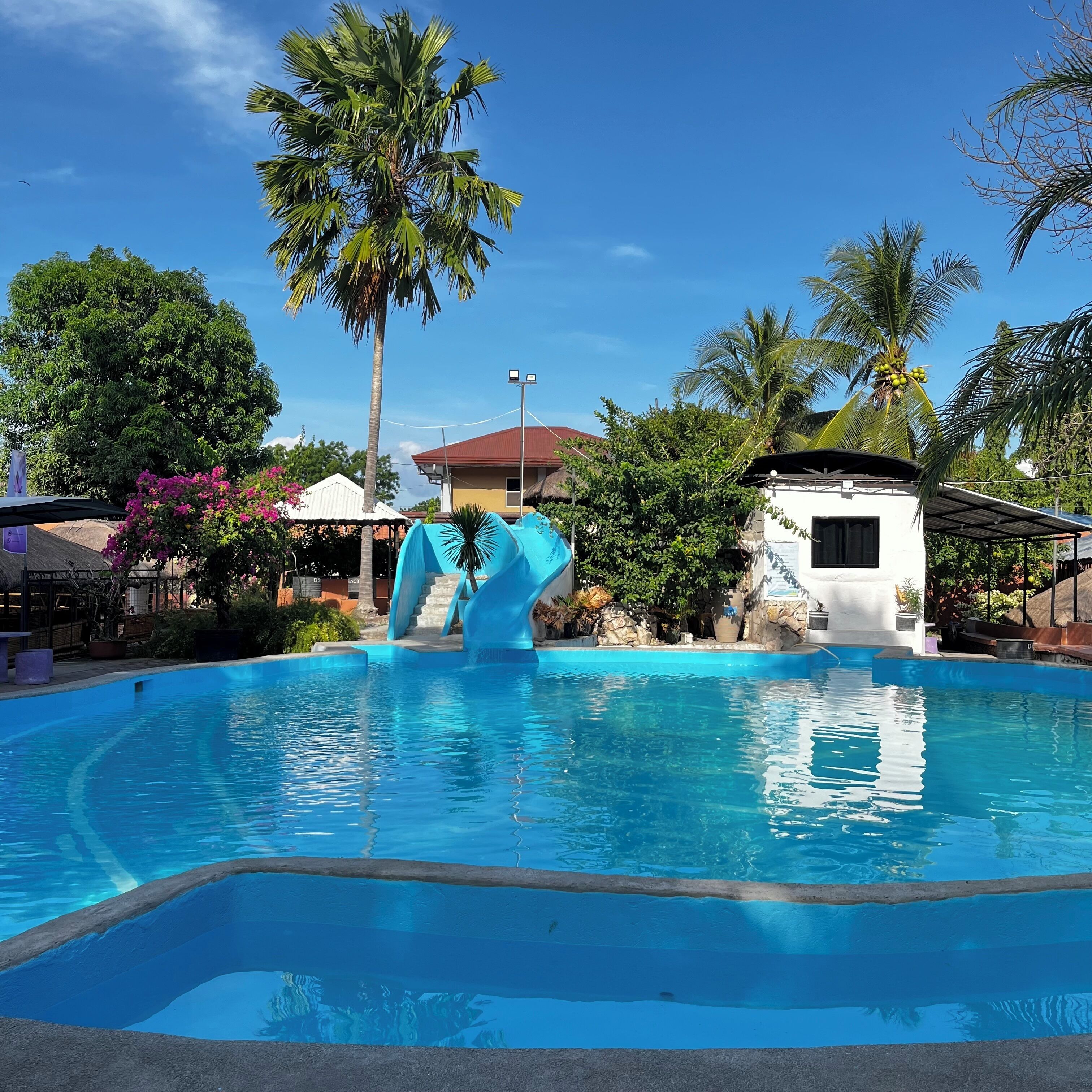 Ein Swimmingpool mit blauer Rutsche, umgeben von Palmen und einem kleinen weißen Gebäude.