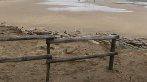 Ein Strand mit einem Holzzaun im Vordergrund.
