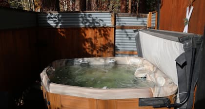 Charming 3 Bedroom Cabin in Incline Village w/Hot Tub