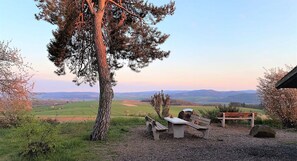 Speisen im Freien