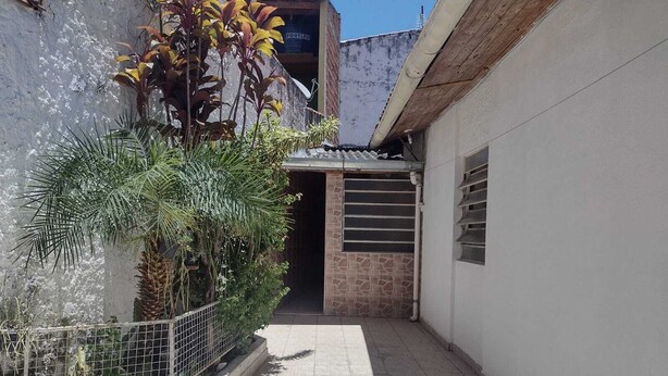 A narrow alleyway with a tiled floor, a metal fence, and a variety of plants including a palm tree. - Meu cantinho  (Guaratingueta)