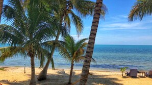A beach with palm trees, a hammock, and a clear view of the ocean. - Cozy Room for the Budget Traveler in Maya Beach (Maya Beach)