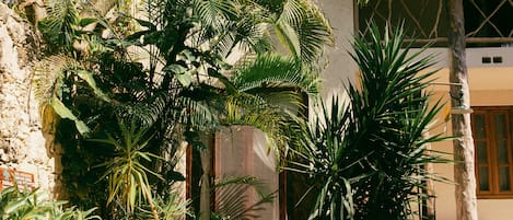 Hồ bơi ngoài trời