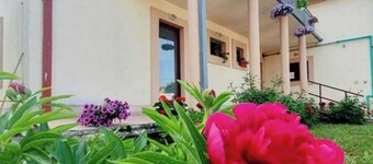 The best comfy bed for travelers near by airport