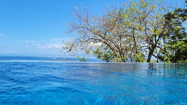 A clear view of a swimming pool with a view of the ocean and a tree on the right side. -  Spectacular View Luxury Villa,  Overlooking Ocean at Bahia Pez Vela Resort (Guanacaste Province)