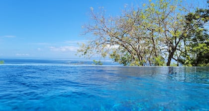 Spectacular View Luxury Villa, Overlooking Ocean at Bahia Pez Vela Resort