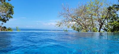  Spectacular View Luxury Villa,  Overlooking Ocean at Bahia Pez Vela Resort