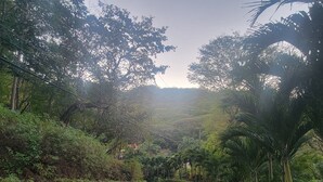A pathway surrounded by lush greenery and trees. -  Spectacular View Luxury Villa,  Overlooking Ocean at Bahia Pez Vela Resort (Guanacaste Province)