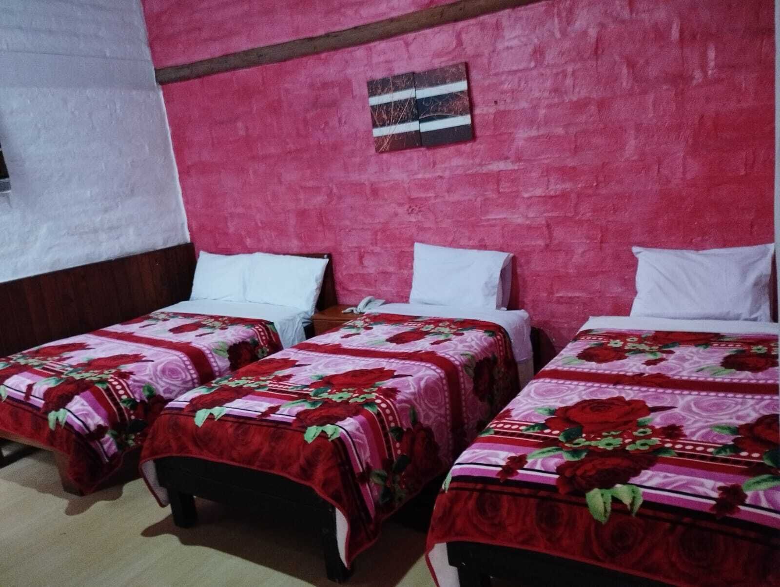 Habitación triple familiar, 3 camas individuales, vista al patio | Escritorio, espacio para trabajar con laptop y wifi gratis 