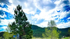 Un terrain de camping équipé de tables de pique-nique, de foyers et offrant une vue panoramique sur une colline boisée.