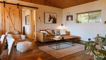 Smart TV, chimenea y biblioteca musical