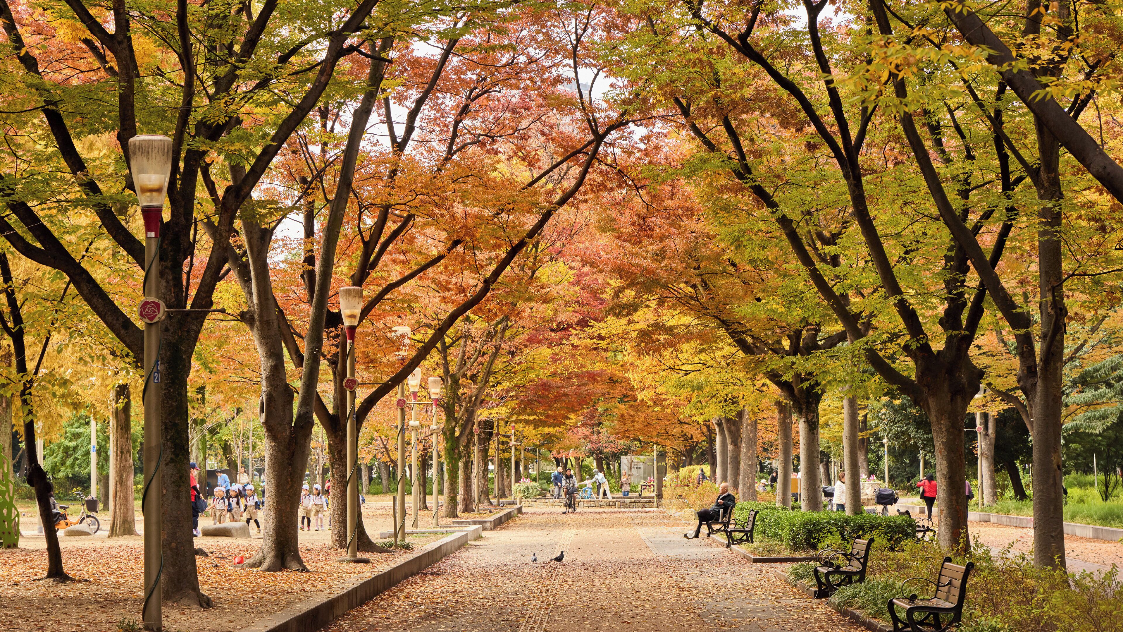 Foto - voco Osaka Central by IHG