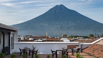 Basic Apartment | Terrace/patio