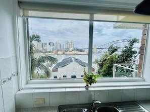 Enjoy city views from the comfort of your room, with a potted plant adding a touch of greenery to the space.