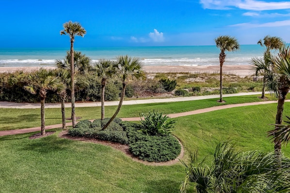 A well-maintained lawn with palm trees and a pathway leading to a beach.