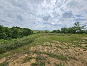 Miscellaneous - Quaint Cabin - 8 minutes from Ark Encounter!!
Country setting, near town!! (Dry Ridge)