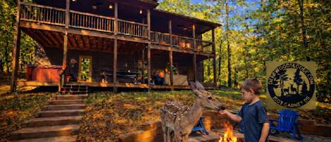 المنطقة المحيطة بالمنشأة