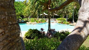 Ein Pool, umgeben von tropischer Vegetation und Palmen.