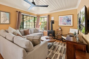 Smart-TV, Kamin