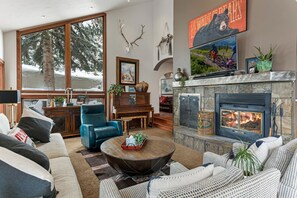 Televisión, chimenea, libros y estéreo