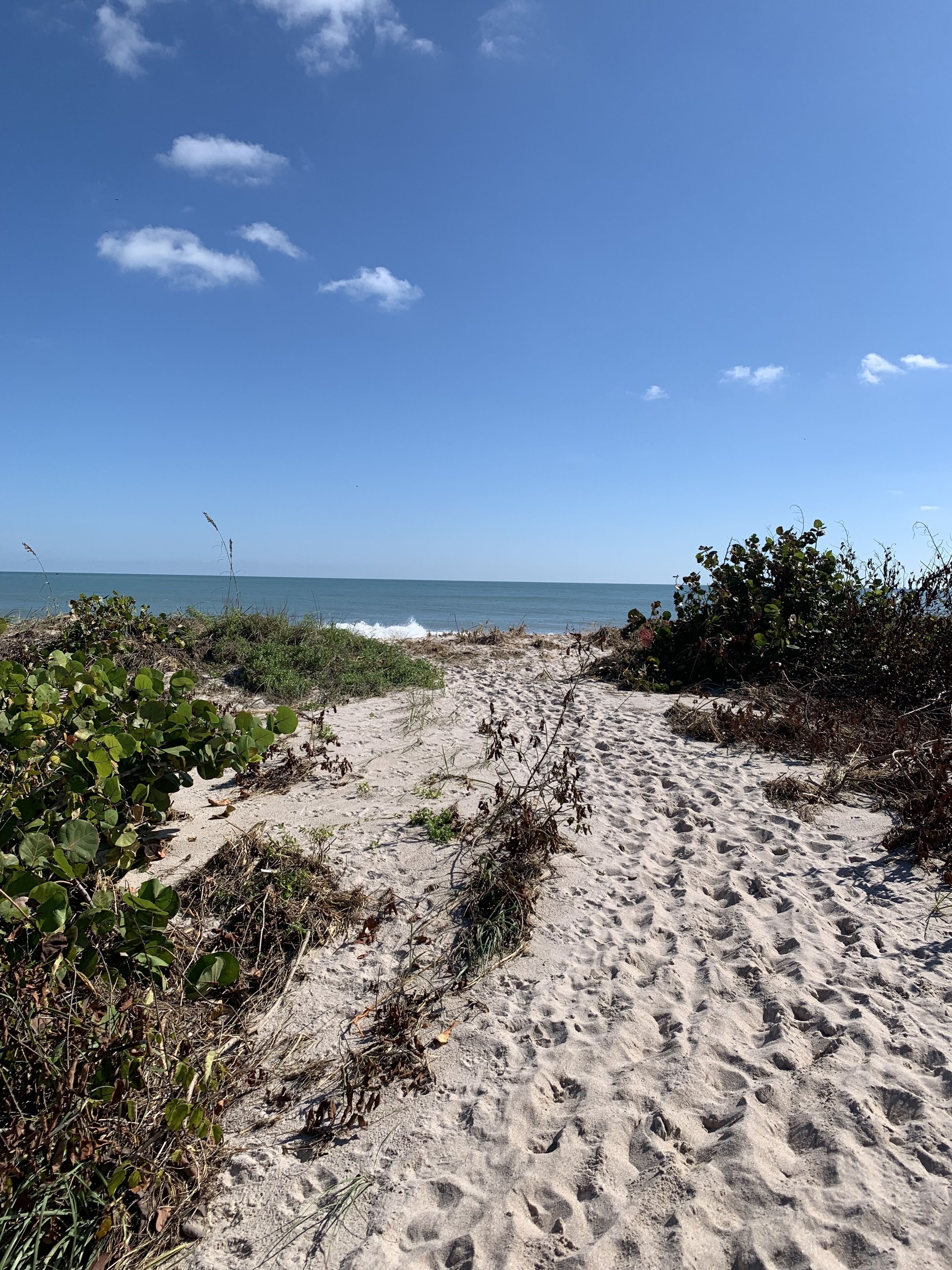 On the beach, sun loungers, beach towels