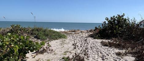 On the beach, sun loungers, beach towels