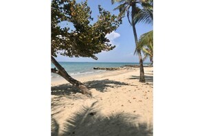 A beach with palm trees and a clear view of the ocean. - Country House 4 Winde with a Private Ocean View (San Antero)