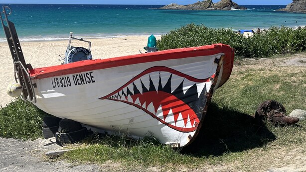 Un bote con diseño de boca de tiburón en la playa.