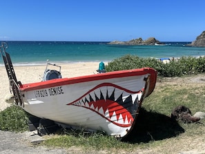 Un bateau dont la proue est décorée d’une représentation de gueule de requin, échoué sur une plage.