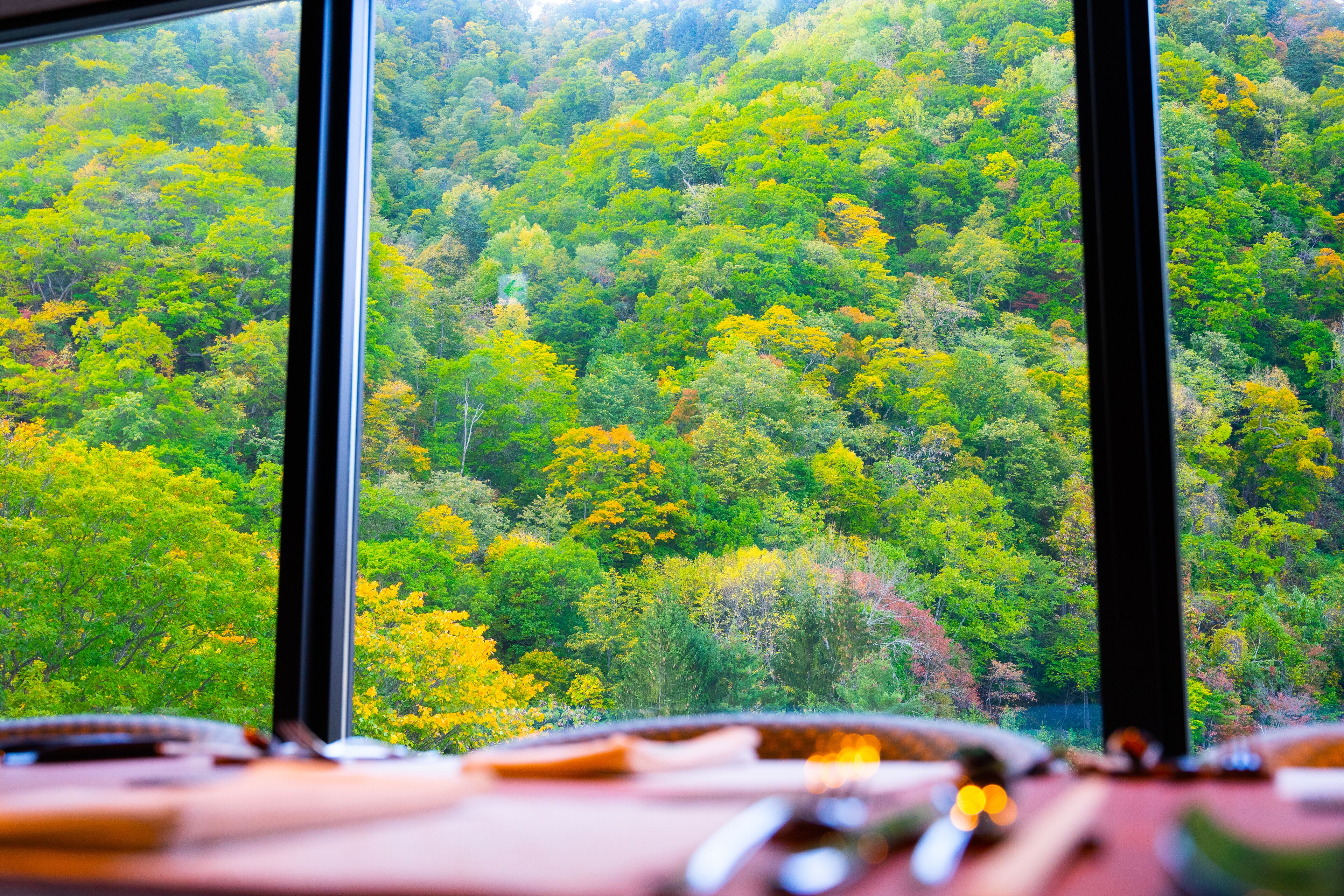 A view through a window of a forested area with a desk and some items on it.