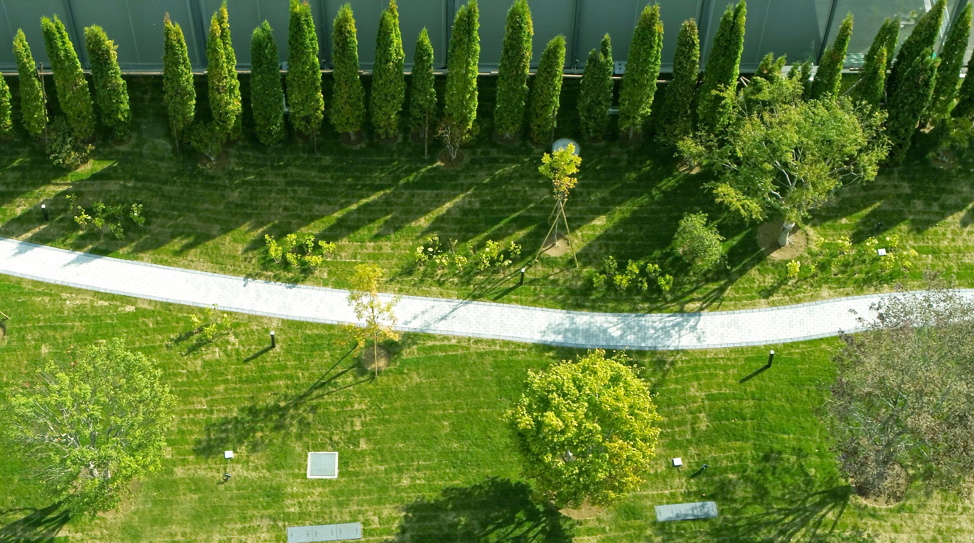 An aerial view of a landscaped area with a paved walkway, various trees, and small structures.