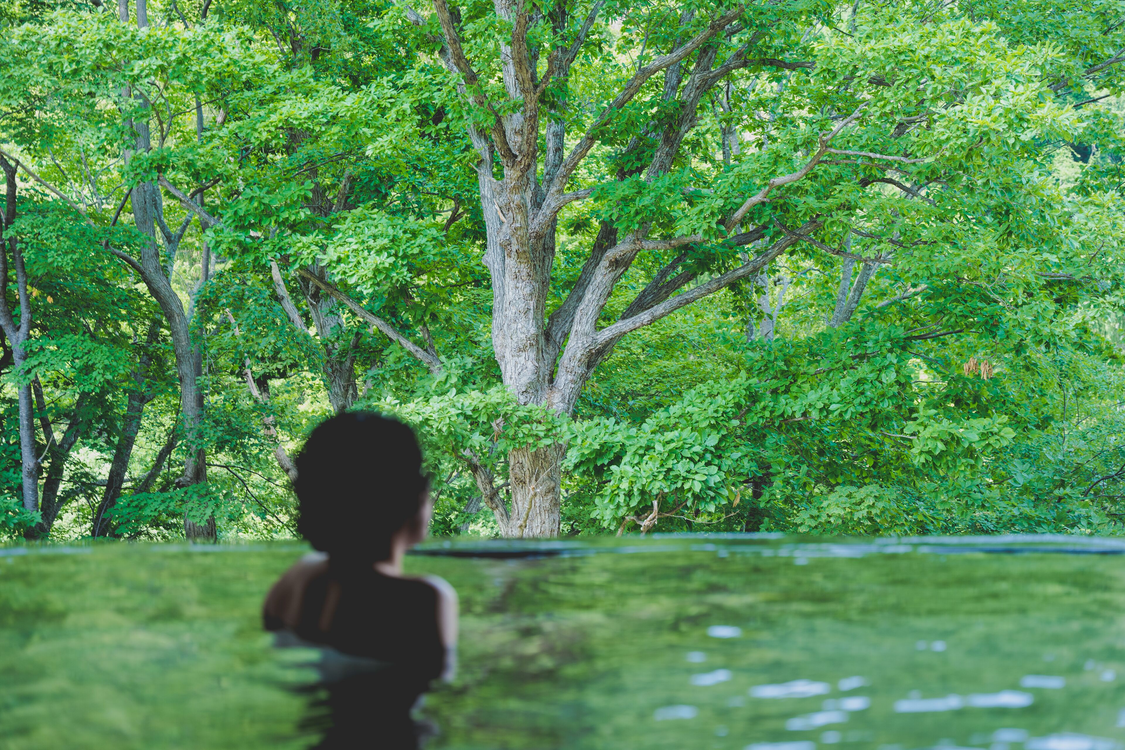 A person in a swimming pool with a large tree in the background.