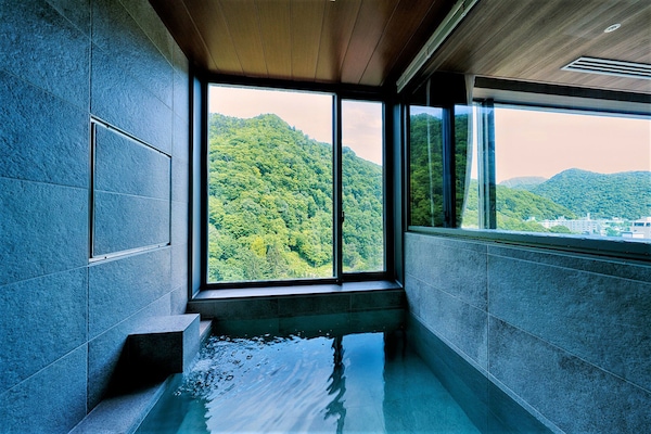 Combined shower/tub, spring water tub, hair dryer, bathrobes