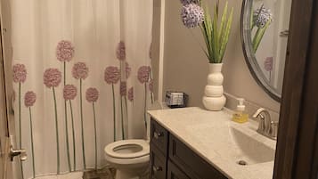 Ensemble douche/baignoire, sèche-cheveux, serviettes fournies, savon