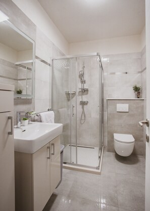 Shower, hair dryer, towels