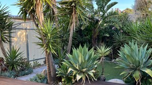 Une terrasse en bois agrémentée de diverses plantes tropicales, avec une clôture métallique en arrière-plan.