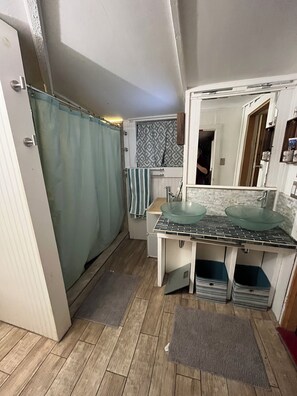 Shower, towels, toilet paper