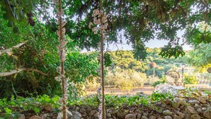 A garden with a stone wall, a wooden swing, and a bench. - POOL & SPA - wellness VILLA St Martin, Mġarr, Malta (Mġarr)
