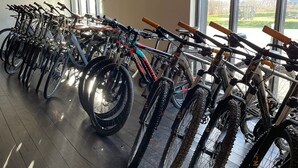 A row of bicycles parked indoors with large windows in the background.