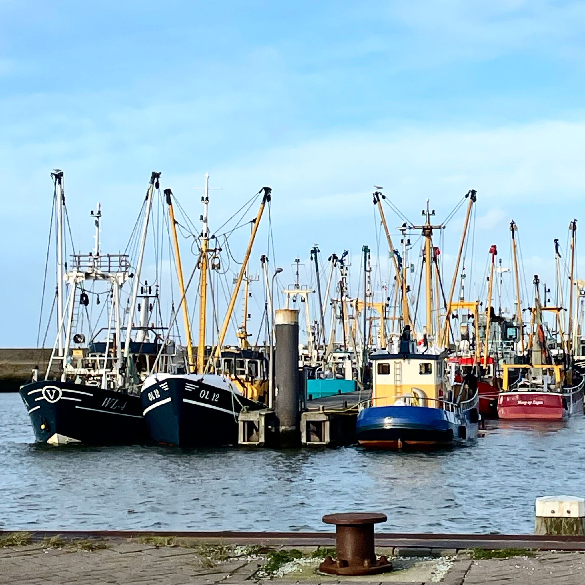 Una marina con varios barcos pesqueros amarrados.