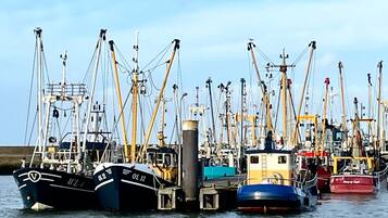 Una marina con varios barcos pesqueros amarrados.