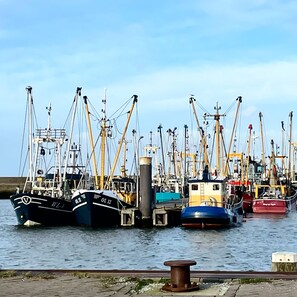 Un port de plaisance où sont amarrés plusieurs bateaux de pêche.
