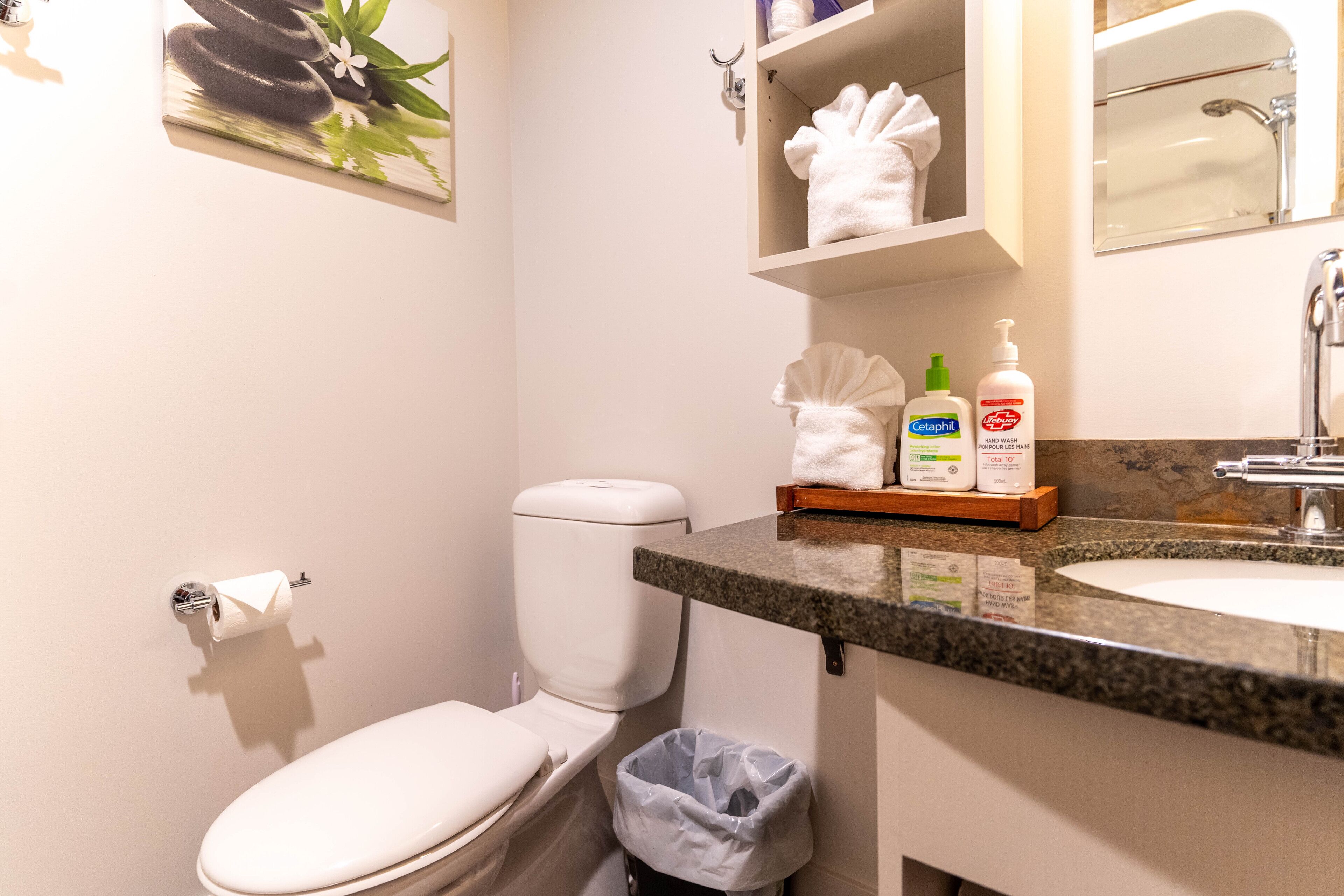 A bathroom with a toilet, sink, and a shelf with toiletries.