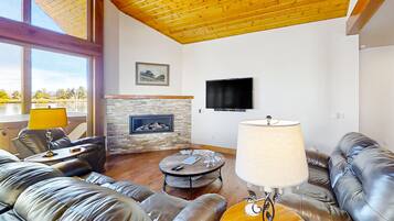 Televisión, chimenea y libros