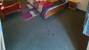 Un dormitorio con cama, mesitas de noche, una silla y un tapete estampado.