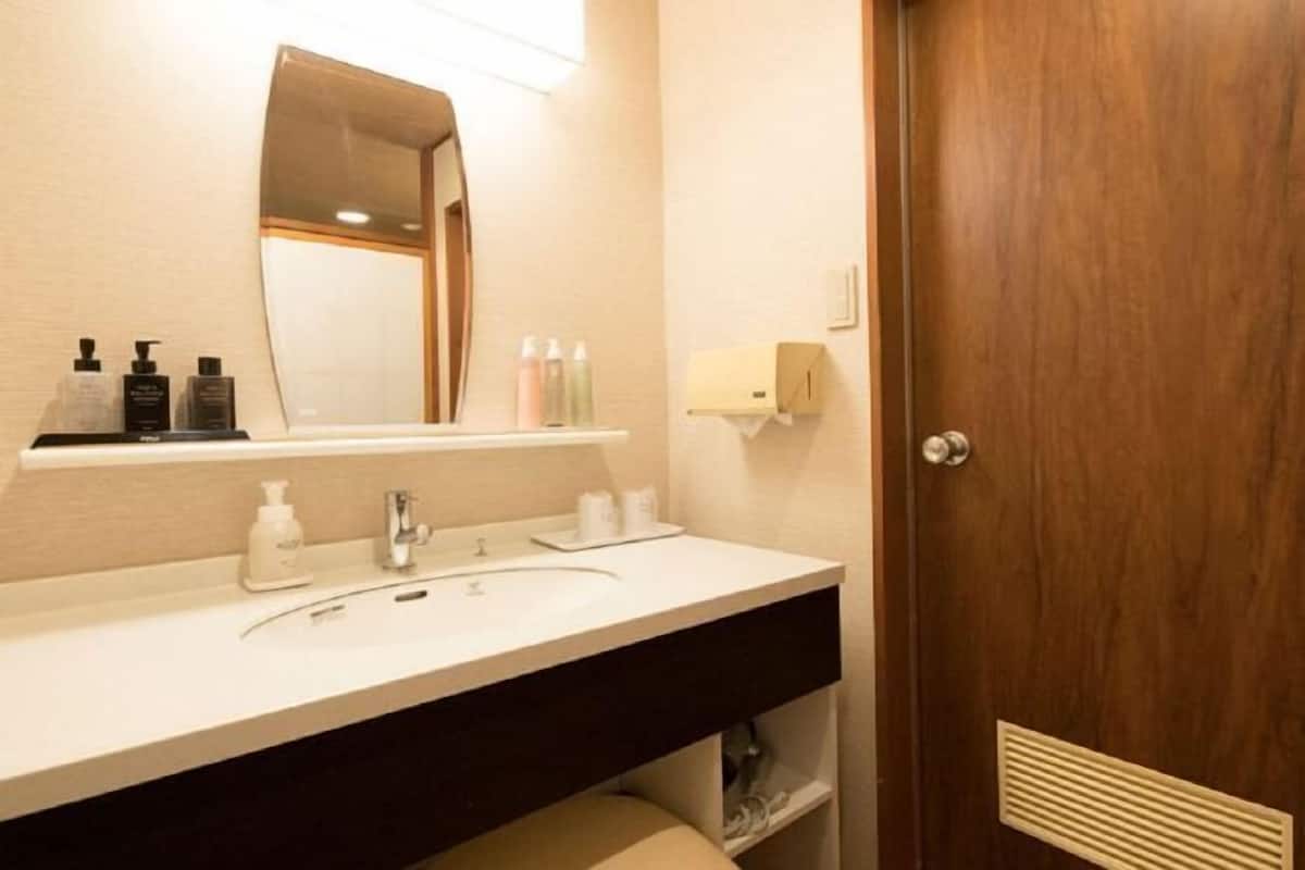 Separate tub and shower, hair dryer, towels