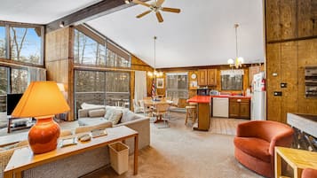 TV, fireplace, video library